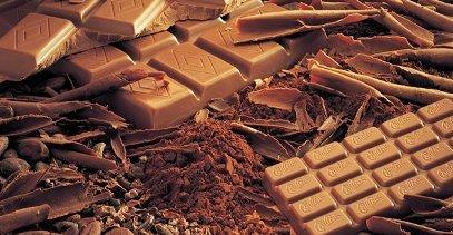 Медики выявили неожиданный эффект шоколада