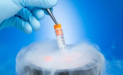 Дети, зачатые из замороженных эмбрионов более активны и самостоятельны