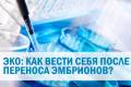 Искусственное оплодотворение (ЭКО): как вести себя после переноса эмбрионов