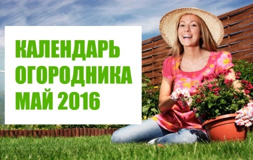 Посевной Календарь 2014 Украина